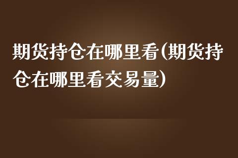 期货持仓在哪里看(期货持仓在哪里看交易量)_https://www.zztgc.com_黄金期货_第1张