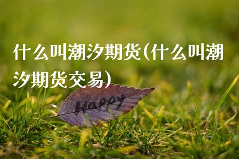 什么叫潮汐期货(什么叫潮汐期货交易)_https://www.zztgc.com_黄金期货_第1张
