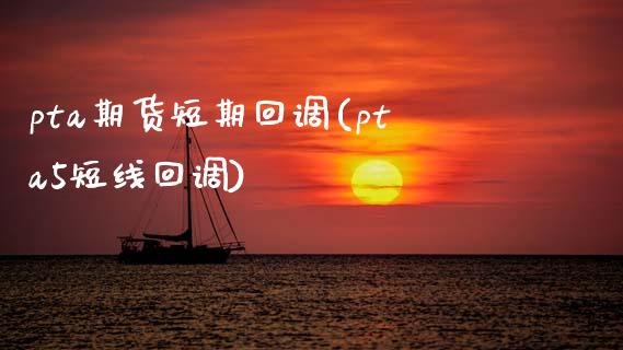pta期货短期回调(pta5短线回调)_https://www.zztgc.com_期货直播_第1张