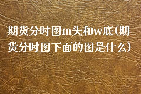 期货分时图m头和w底(期货分时图下面的图是什么)_https://www.zztgc.com_期货直播_第1张
