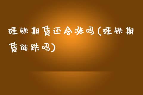 硅铁期货还会涨吗(硅铁期货能跌吗)_https://www.zztgc.com_原油期货_第1张