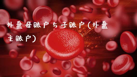 外盘母账户与子账户(外盘主账户)_https://www.zztgc.com_期货直播_第1张