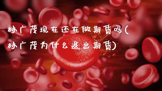 林广茂现在还在做期货吗(林广茂为什么退出期货)_https://www.zztgc.com_期货直播_第1张