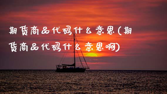 期货商品代码什么意思(期货商品代码什么意思啊)_https://www.zztgc.com_期货行情_第1张