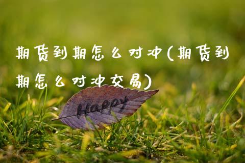 期货到期怎么对冲(期货到期怎么对冲交易)_https://www.zztgc.com_原油期货_第1张