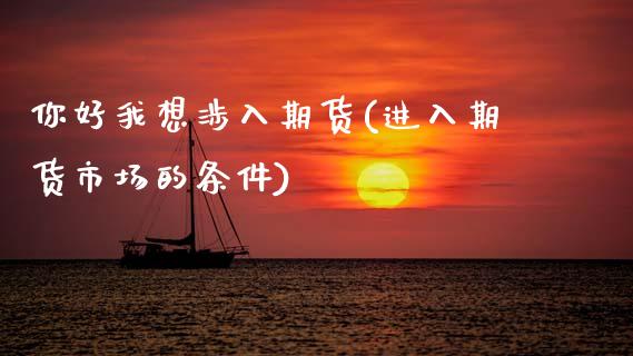 你好我想涉入期货(进入期货市场的条件)_https://www.zztgc.com_原油期货_第1张