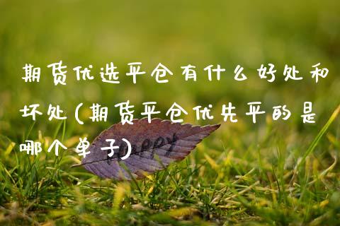 期货优选平仓有什么好处和坏处(期货平仓优先平的是哪个单子)_https://www.zztgc.com_黄金期货_第1张