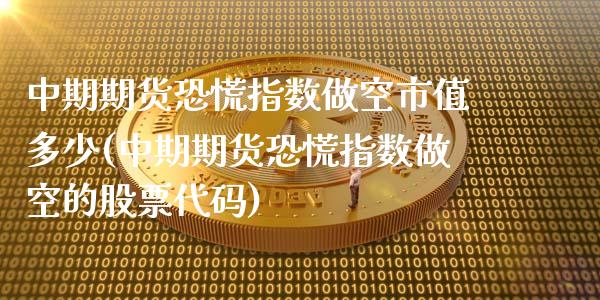 中期期货恐慌指数做空市值多少(中期期货恐慌指数做空的股票代码)_https://www.zztgc.com_期货入门_第1张