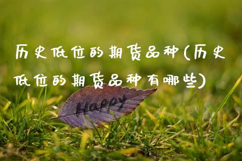 历史低位的期货品种(历史低位的期货品种有哪些)_https://www.zztgc.com_期货直播_第1张