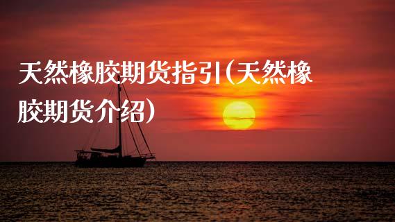 天然橡胶期货指引(天然橡胶期货介绍)_https://www.zztgc.com_期货行情_第1张