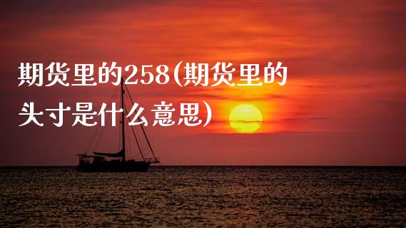 期货里的258(期货里的头寸是什么意思)_https://www.zztgc.com_原油期货_第1张