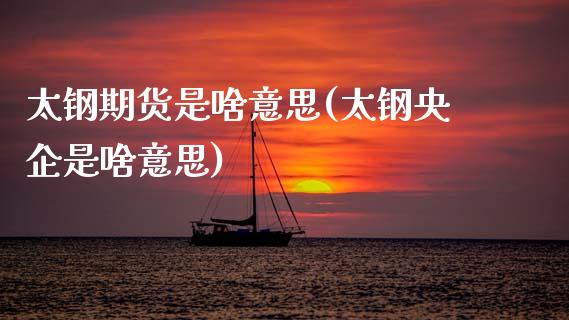 太钢期货是啥意思(太钢央企是啥意思)_https://www.zztgc.com_期货直播_第1张