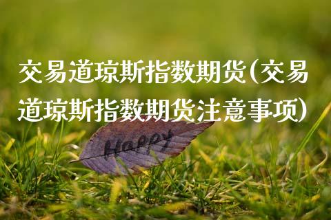 交易道琼斯指数期货(交易道琼斯指数期货注意事项)_https://www.zztgc.com_期货行情_第1张
