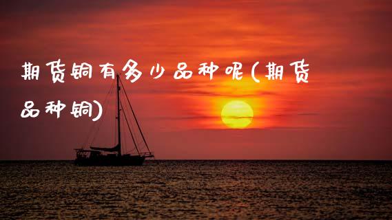 期货铜有多少品种呢(期货品种铜)_https://www.zztgc.com_黄金期货_第1张