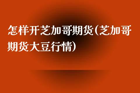 怎样开芝加哥期货(芝加哥期货大豆行情)_https://www.zztgc.com_原油期货_第1张
