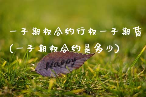 一手期权合约行权一手期货(一手期权合约是多少)_https://www.zztgc.com_期货开户_第1张