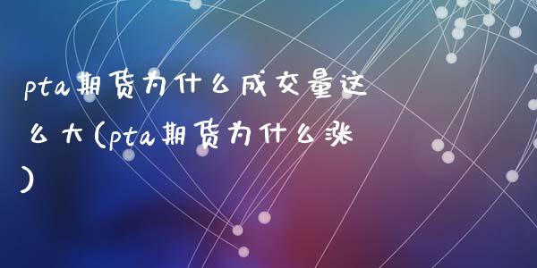 pta期货为什么成交量这么大(pta期货为什么涨)_https://www.zztgc.com_期货行情_第1张