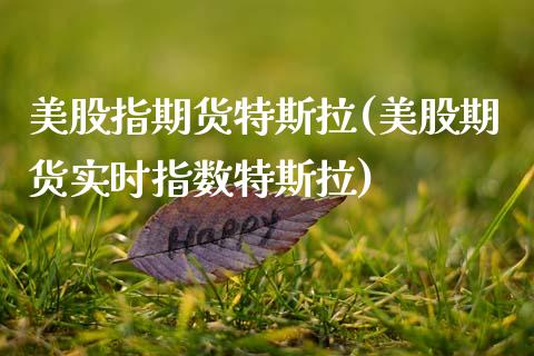 美股指期货特斯拉(美股期货实时指数特斯拉)_https://www.zztgc.com_黄金期货_第1张
