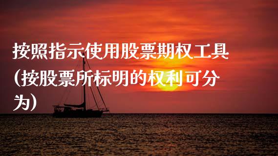 按照指示使用股票期权工具(按股票所标明的权利可分为)_https://www.zztgc.com_黄金期货_第1张