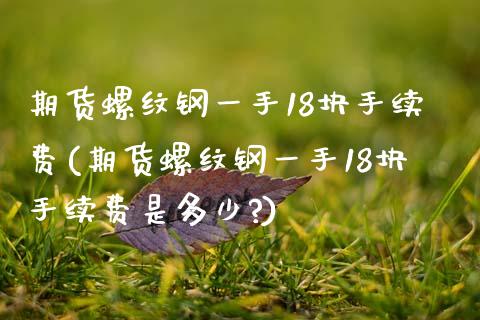 期货螺纹钢一手18块手续费(期货螺纹钢一手18块手续费是多少?)_https://www.zztgc.com_期货入门_第1张