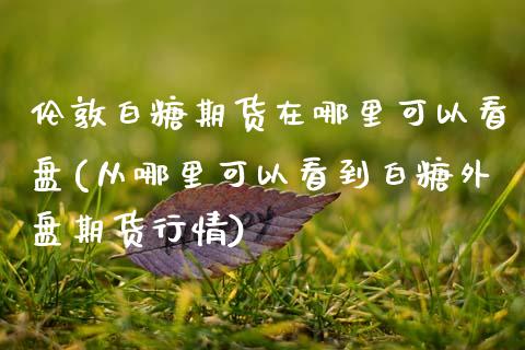 伦敦白糖期货在哪里可以看盘(从哪里可以看到白糖外盘期货行情)_https://www.zztgc.com_黄金期货_第1张