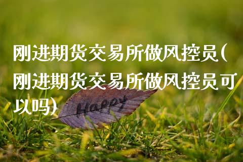 刚进期货交易所做风控员(刚进期货交易所做风控员可以吗)_https://www.zztgc.com_期货行情_第1张
