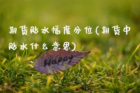 期货贴水幅度分位(期货中贴水什么意思)_https://www.zztgc.com_黄金期货_第1张