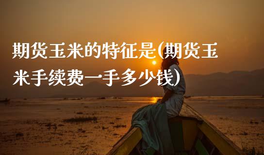 期货玉米的特征是(期货玉米手续费一手多少钱)_https://www.zztgc.com_期货入门_第1张