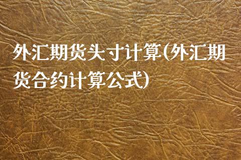 外汇期货头寸计算(外汇期货合约计算公式)_https://www.zztgc.com_期货行情_第1张
