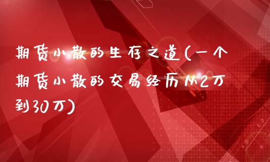 期货小散的生存之道(一个期货小散的交易经历从2万到30万)_https://www.zztgc.com_期货行情_第1张