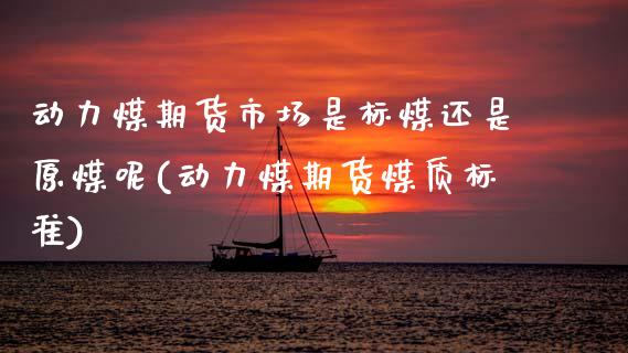 动力煤期货市场是标煤还是原煤呢(动力煤期货煤质标准)_https://www.zztgc.com_原油期货_第1张
