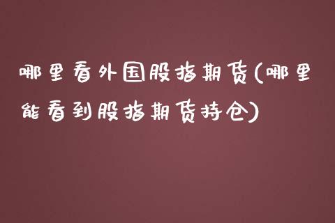 哪里看外国股指期货(哪里能看到股指期货持仓)_https://www.zztgc.com_原油期货_第1张