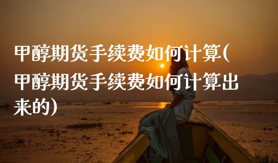 甲醇期货手续费如何计算(甲醇期货手续费如何计算出来的)_https://www.zztgc.com_期货直播_第1张