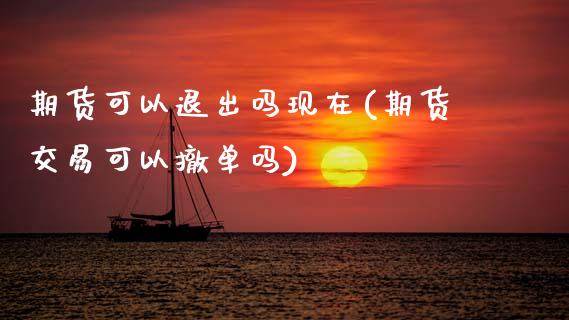 期货可以退出吗现在(期货交易可以撤单吗)_https://www.zztgc.com_期货入门_第1张
