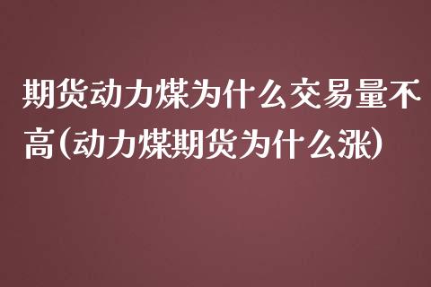 期货动力煤为什么交易量不高(动力煤期货为什么涨)_https://www.zztgc.com_期货入门_第1张