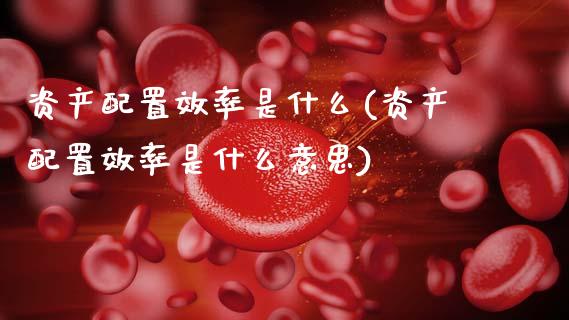 资产配置效率是什么(资产配置效率是什么意思)_https://www.zztgc.com_期货直播_第1张