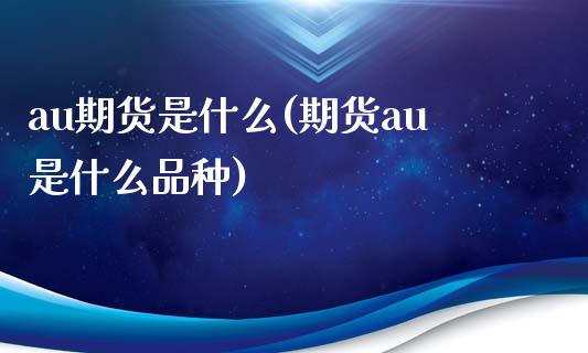 au期货是什么(期货au是什么品种)_https://www.zztgc.com_原油期货_第1张