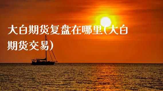 大白期货复盘在哪里(大白期货交易)_https://www.zztgc.com_期货入门_第1张