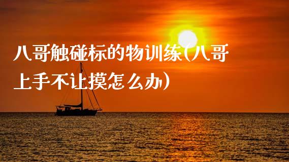 八哥触碰标的物训练(八哥上手不让摸怎么办)_https://www.zztgc.com_期货直播_第1张