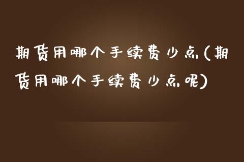 期货用哪个手续费少点(期货用哪个手续费少点呢)_https://www.zztgc.com_原油期货_第1张