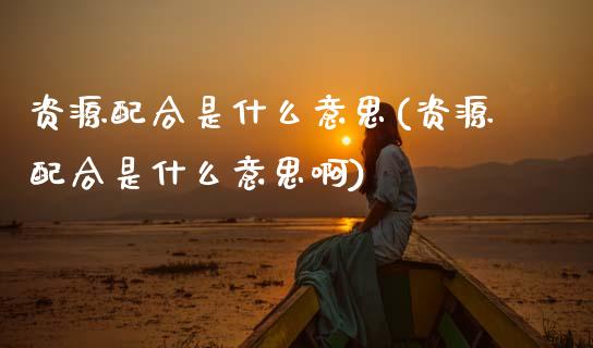 资源配合是什么意思(资源配合是什么意思啊)_https://www.zztgc.com_期货直播_第1张