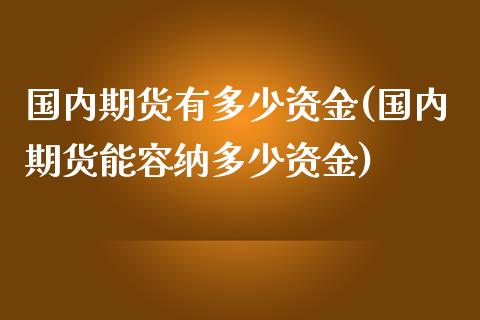 国内期货有多少资金(国内期货能容纳多少资金)_https://www.zztgc.com_原油期货_第1张