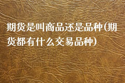 期货是叫商品还是品种(期货都有什么交易品种)_https://www.zztgc.com_黄金期货_第1张