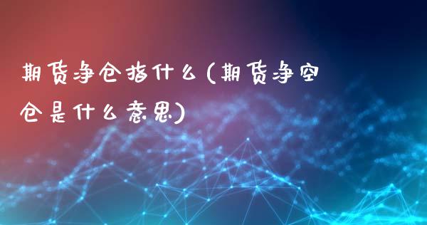 期货净仓指什么(期货净空仓是什么意思)_https://www.zztgc.com_期货直播_第1张