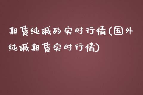 期货纯碱的实时行情(国外纯碱期货实时行情)_https://www.zztgc.com_期货入门_第1张
