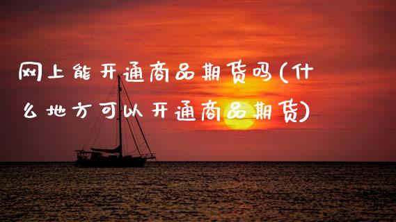 网上能开通商品期货吗(什么地方可以开通商品期货)_https://www.zztgc.com_期货入门_第1张