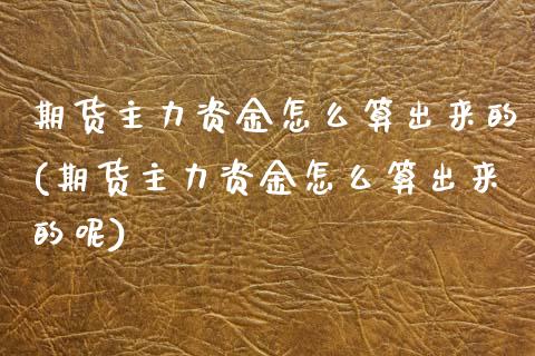 期货主力资金怎么算出来的(期货主力资金怎么算出来的呢)_https://www.zztgc.com_黄金期货_第1张