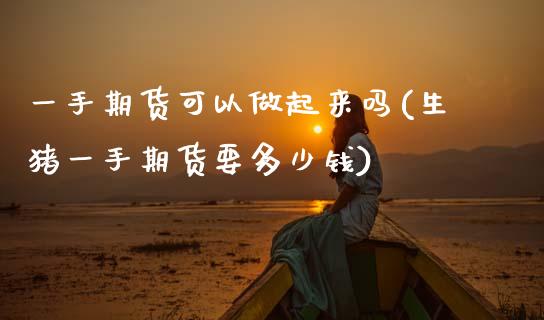 一手期货可以做起来吗(生猪一手期货要多少钱)_https://www.zztgc.com_原油期货_第1张