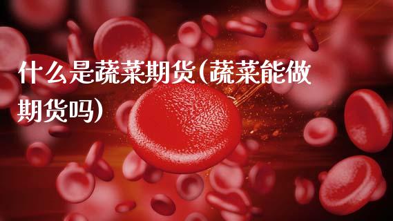 什么是蔬菜期货(蔬菜能做期货吗)_https://www.zztgc.com_原油期货_第1张