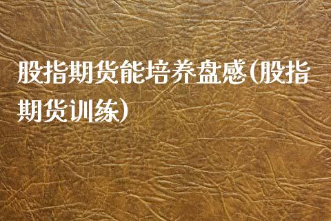 股指期货能培养盘感(股指期货训练)_https://www.zztgc.com_期货入门_第1张
